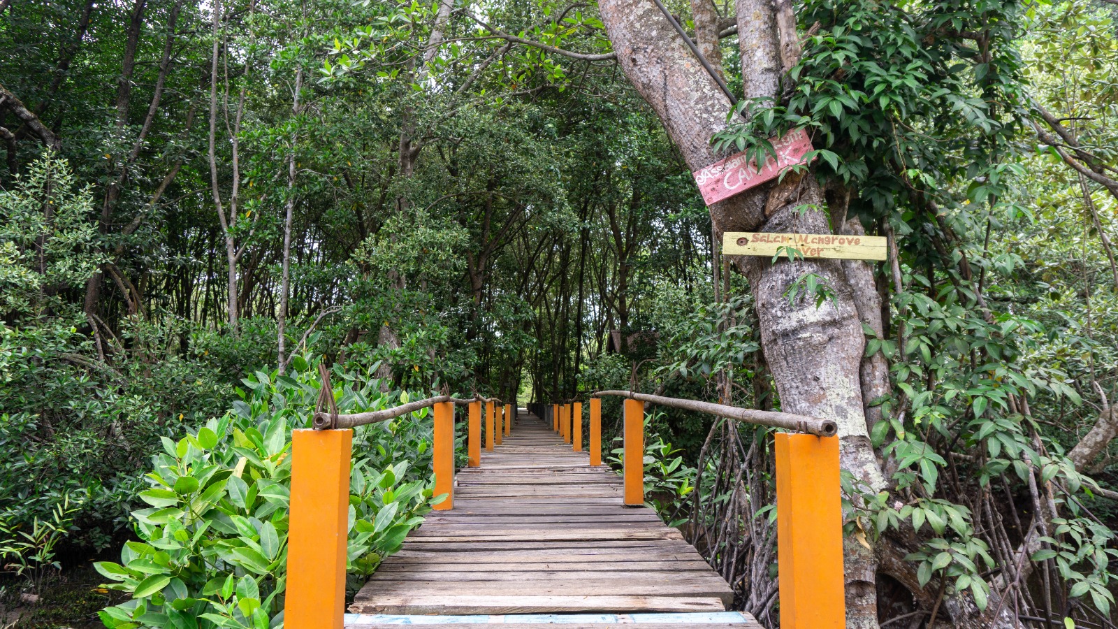 PANDANG TAK JEMU PRIVATE ECO JOURNEY