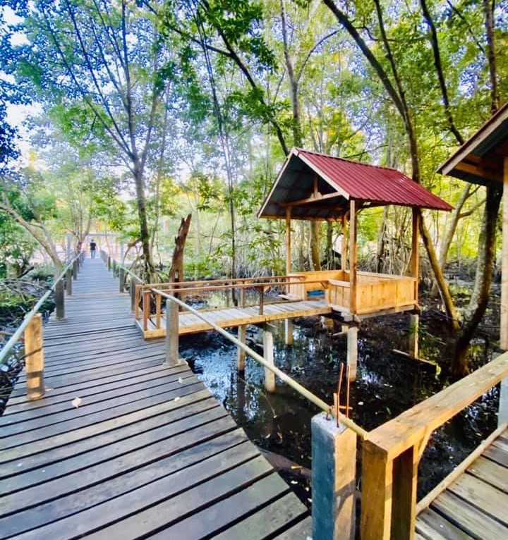 Panduan Akses dan Aktivitas Seru di Desa Wisata Pandang Tak Jemu